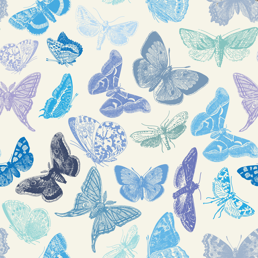 Butterfly Pattern - Vector, Image