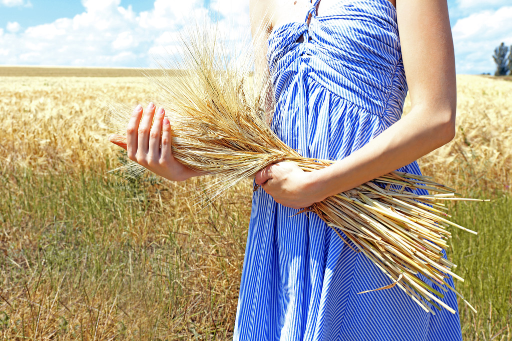 Woman holding sheaf in field - Photo, Image