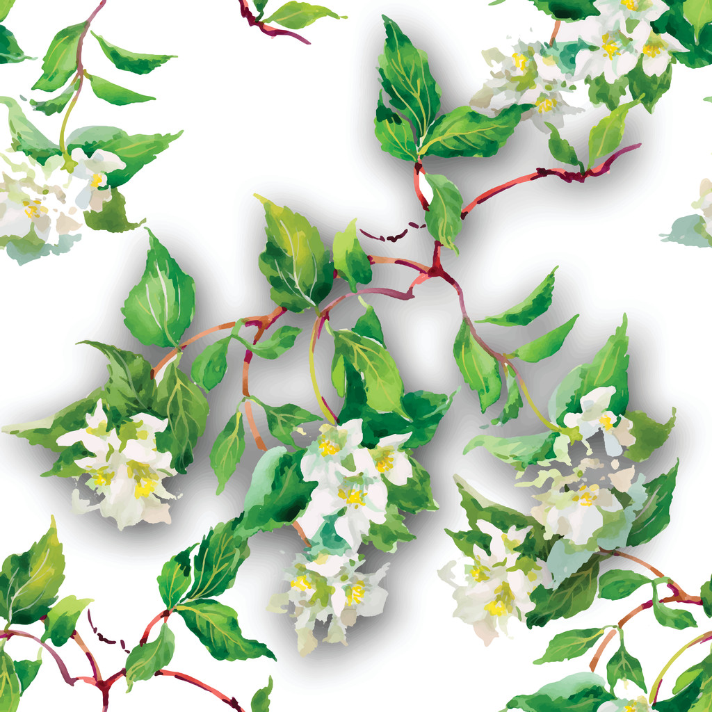 Floraison motif de fleurs
 - Vecteur, image