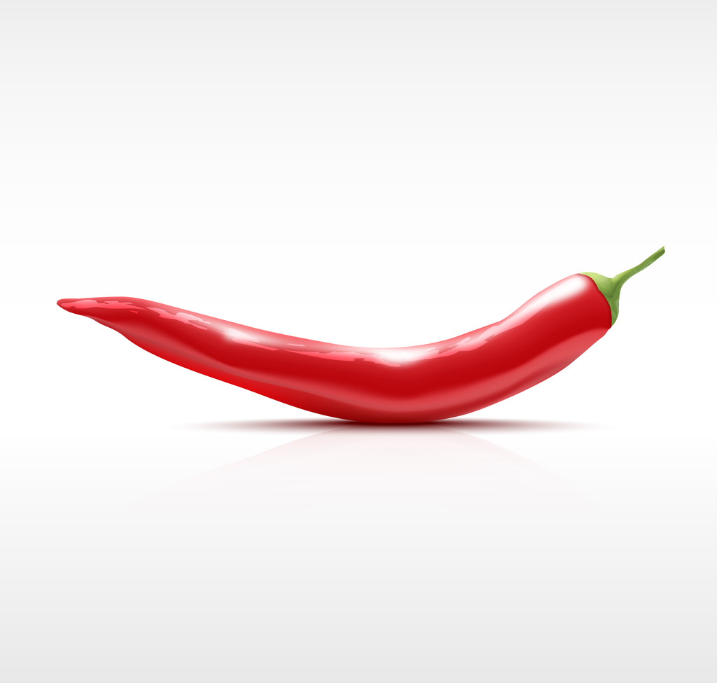 Red chilli pepper isolated - Vector, Image