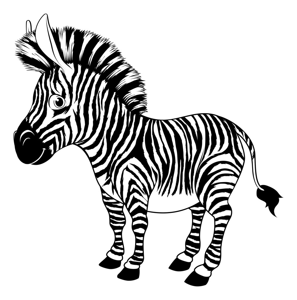 Black and white cartoon zebra - Vector, Image