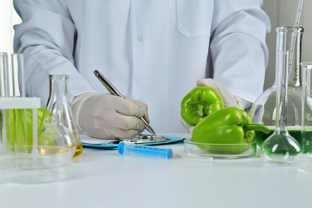 Lo scienziato esamina il pepe d'insalata in laboratorio
 - Foto, immagini