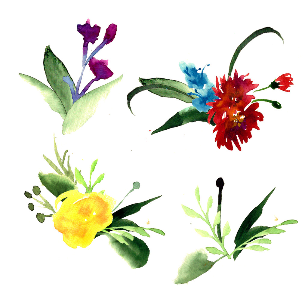 Яскраві польові квіти квітучі
 - Фото, зображення