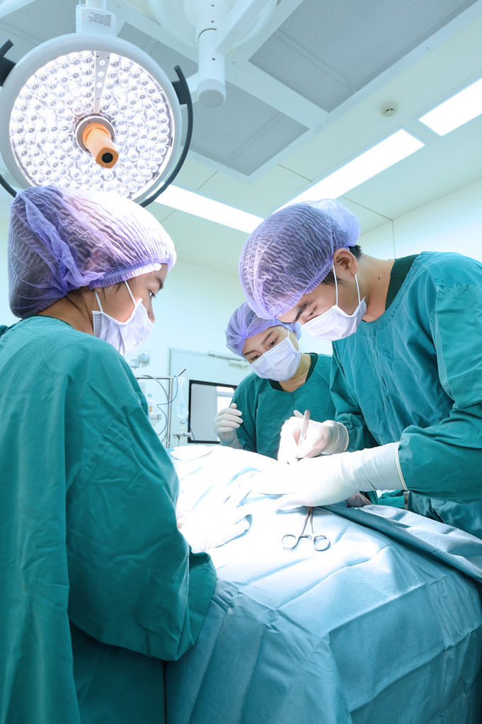 група ветеринарної хірургії в операційному залі
 - Фото, зображення