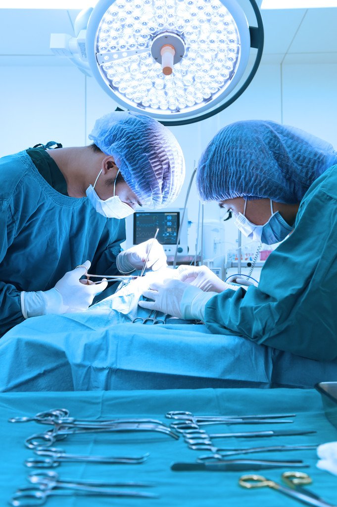 dois cirurgiões veterinários na sala de operações - Foto, Imagem