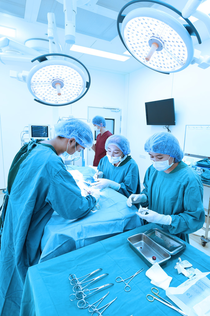 Grupo de cirugía veterinaria en quirófano
 - Foto, Imagen