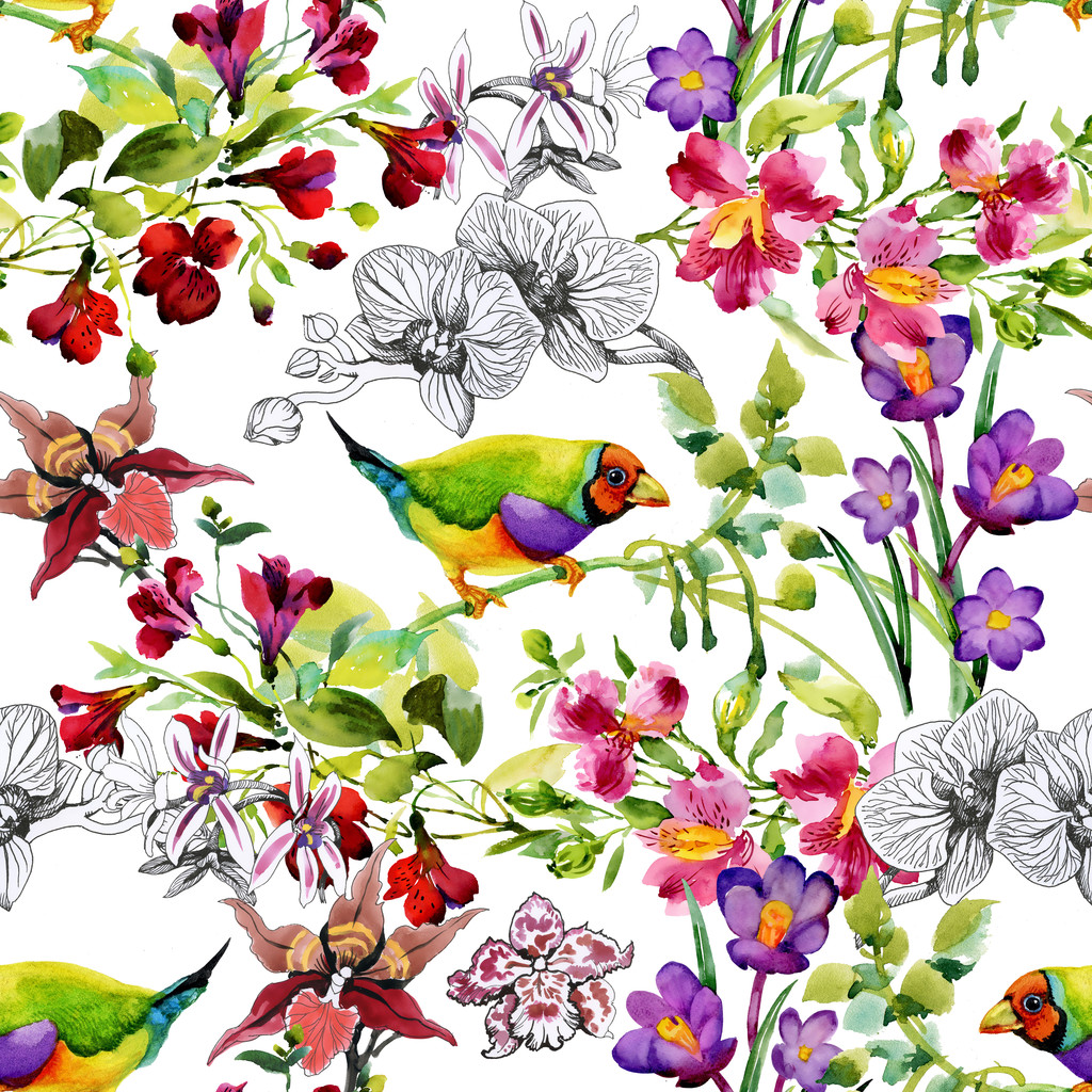 tropikal kuşlar ve egzotik çiçekler - Fotoğraf, Görsel