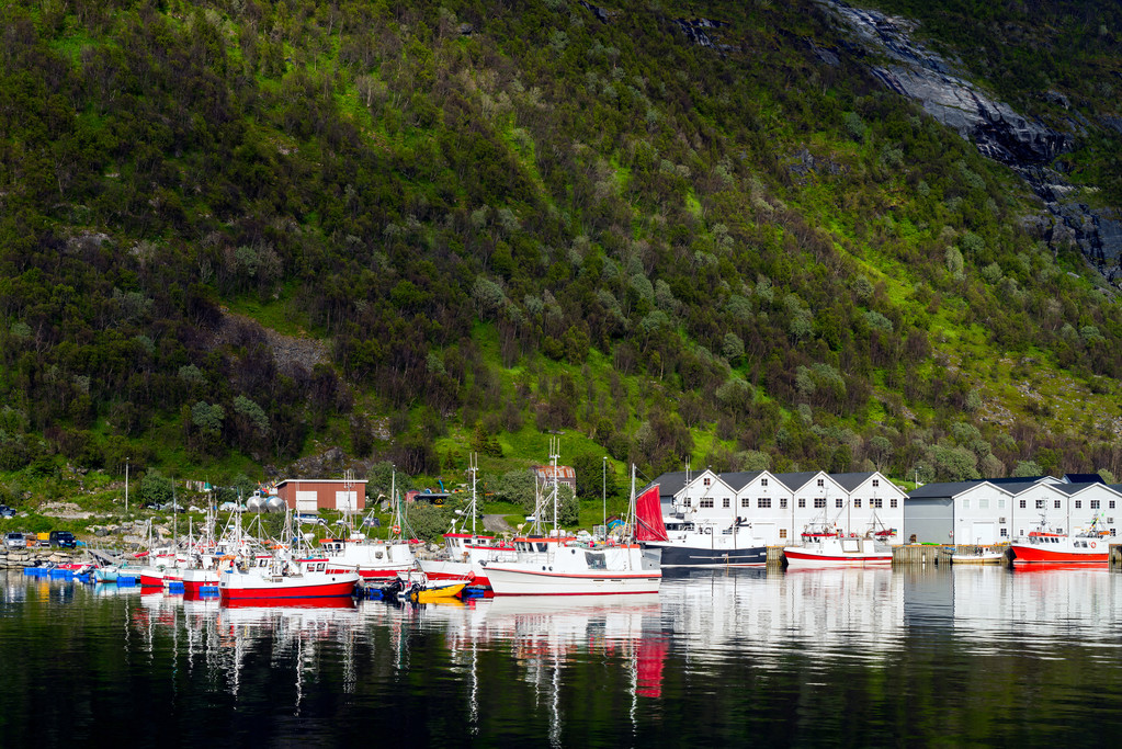 Husoy, Norge, rochas, costa, porto
 - Foto, Imagem