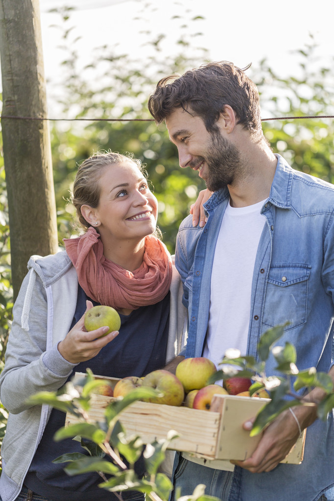 Молодая пара собирает органические яблоки в саду
. - Фото, изображение