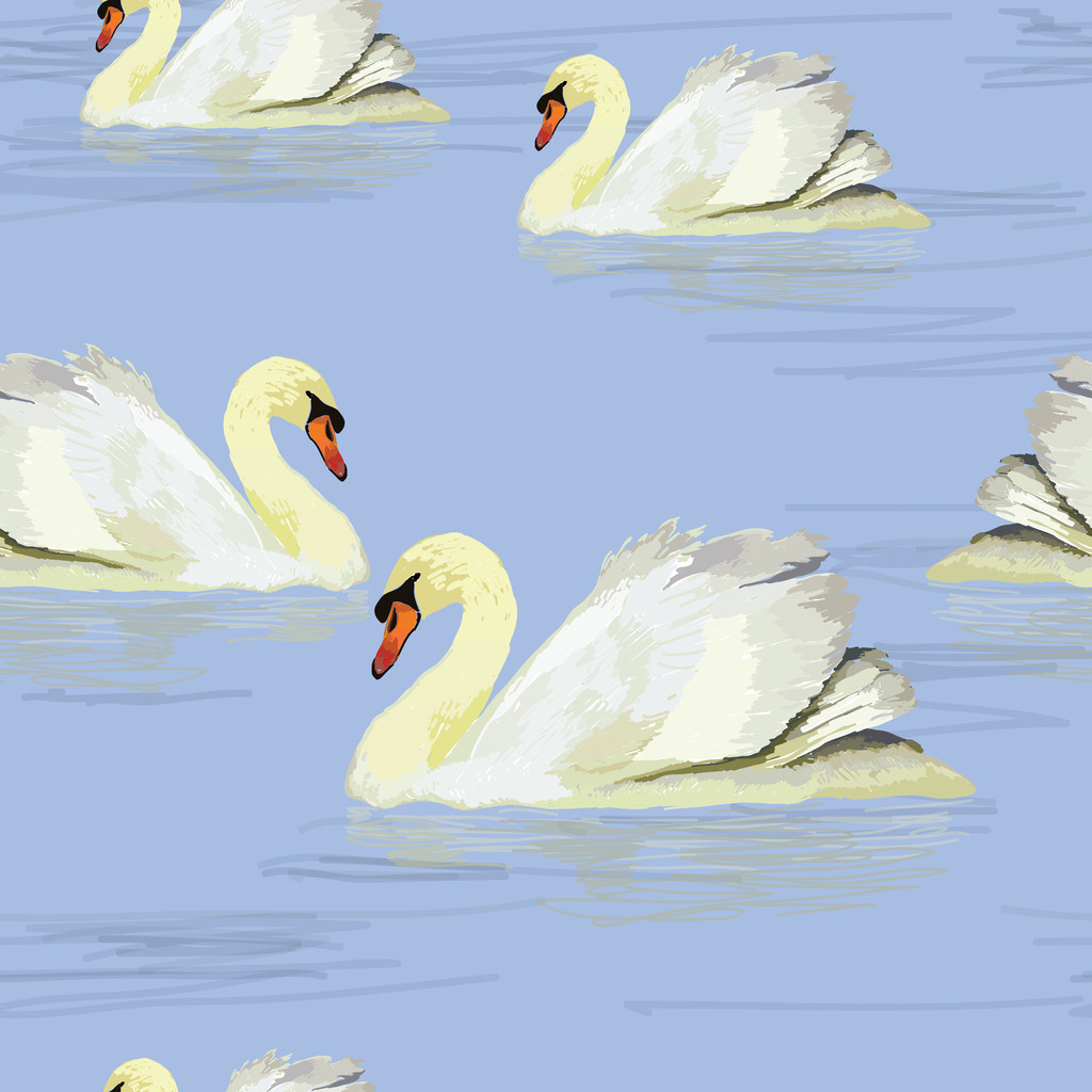 cisne blanco en el agua - Vector, Imagen