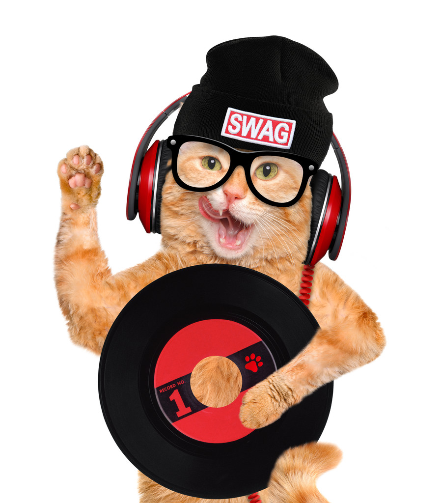 hudební sluchátka vinylových záznamů kočka - Fotografie, Obrázek
