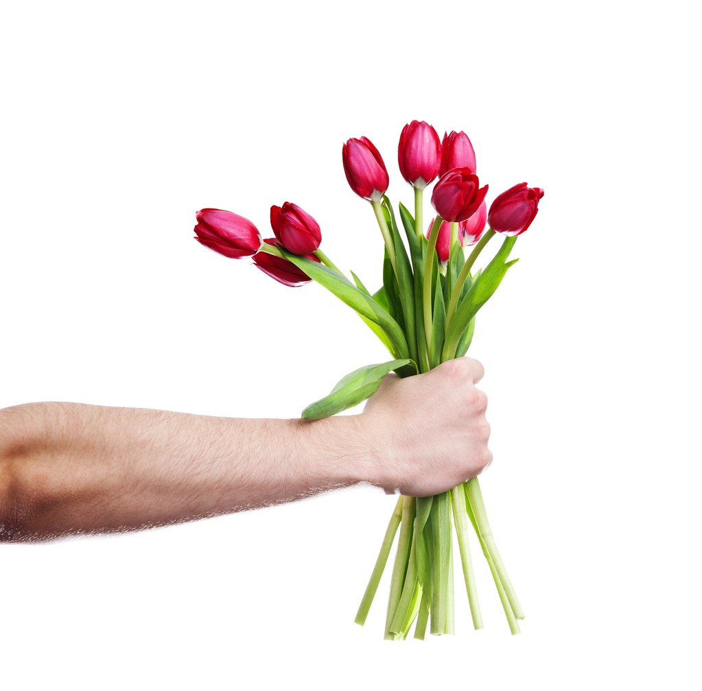tulipány - Fotografie, Obrázek