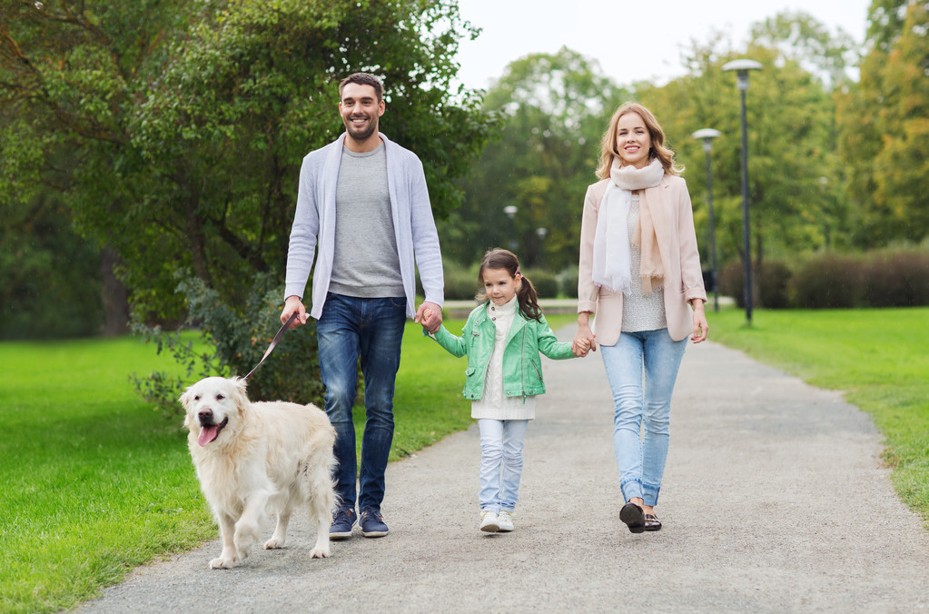 щаслива сім'я з лабрадором собакою-ретривером у парку
 - Фото, зображення