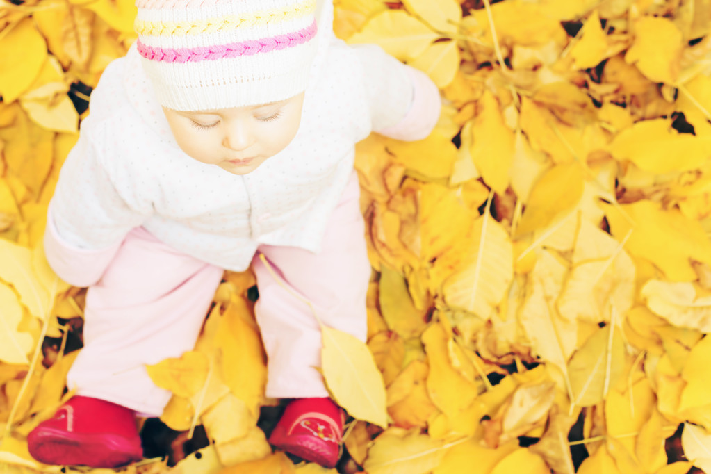 portrait of baby at autumn park with yellow leaves background - Photo, Image