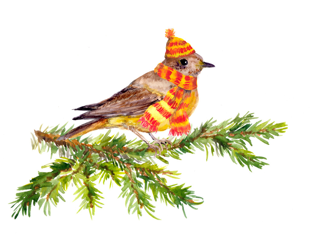 Winter zangvogels, muts en sjaal op pine vertakking van de beslissingsstructuur. wenskaart - Foto, afbeelding