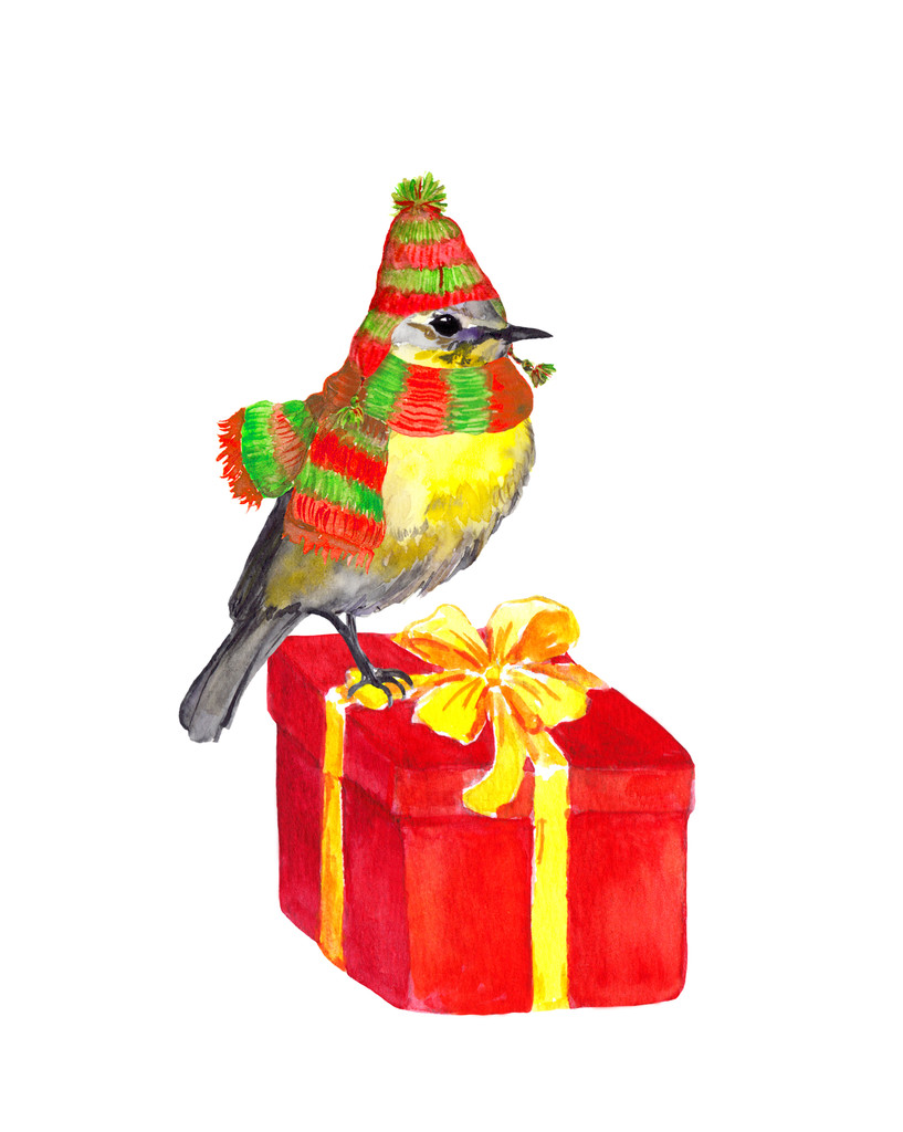 Zangvogels winter muts en sjaal op de doos van de gift van Kerstmis. Aquarel - Foto, afbeelding