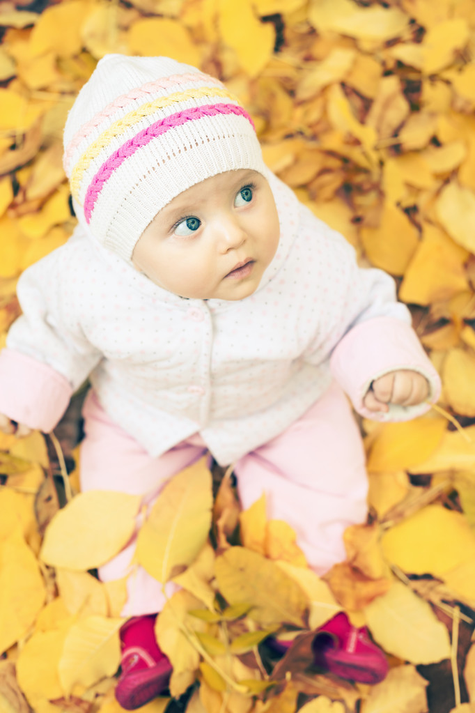 baby at autumn park with yellow leaves background - Fotoğraf, Görsel