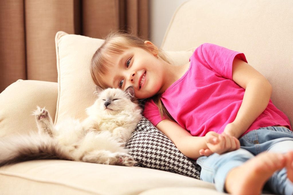 ソファの上の子猫と女の子 - 写真・画像