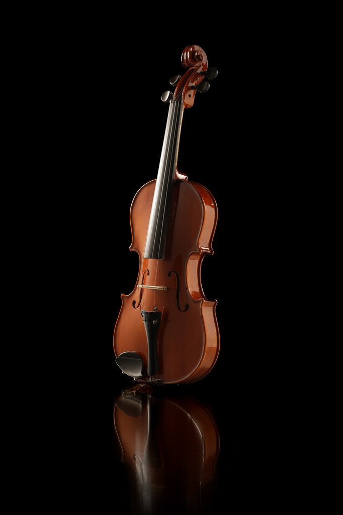 バイオリンの優雅なショット - 写真・画像