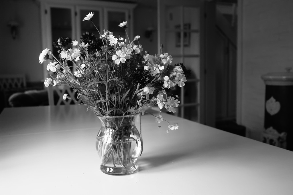 Bellissimi fiori estivi primaverili in un vaso di vetro bianco e nero
 - Foto, immagini