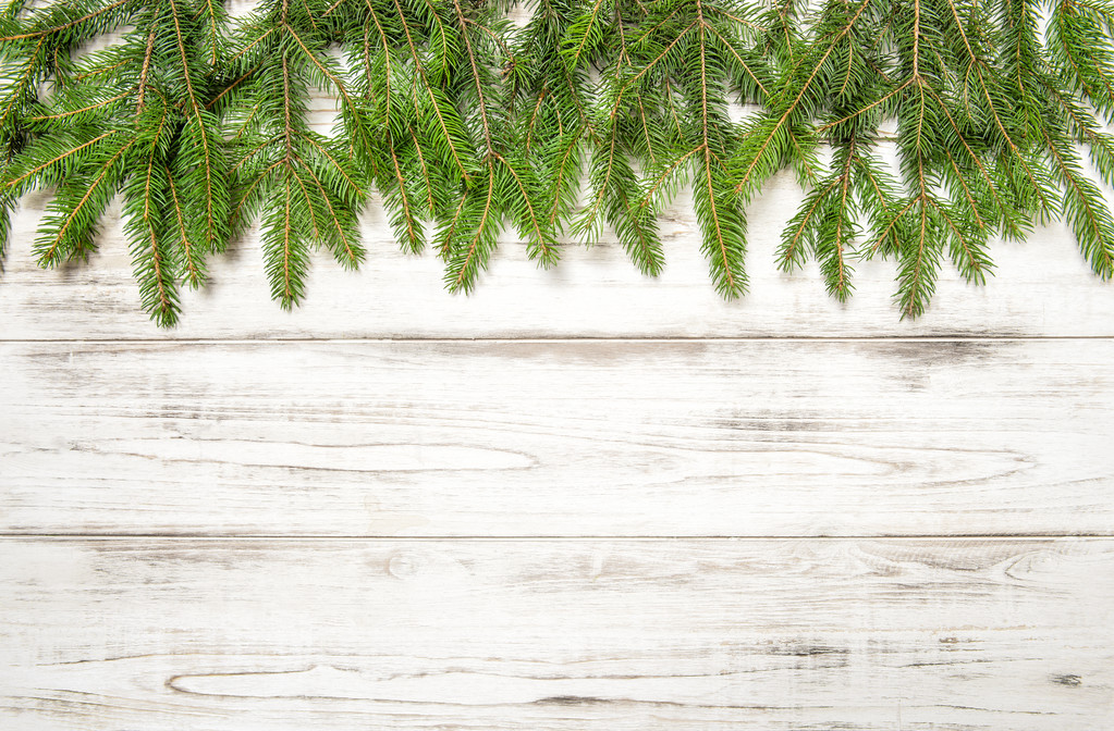 クリスマスツリーの枝 - 写真・画像