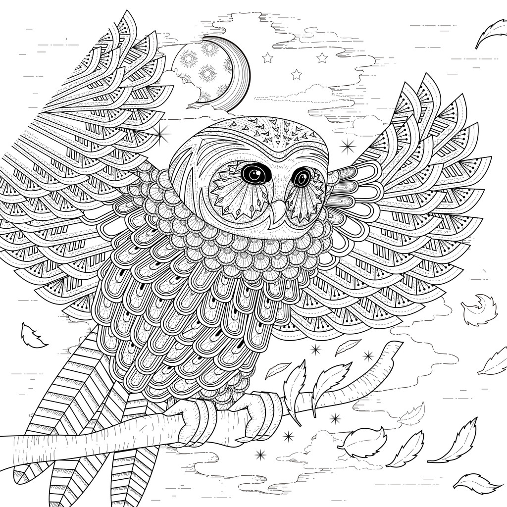 lovely owl coloring page - Vector, Image
