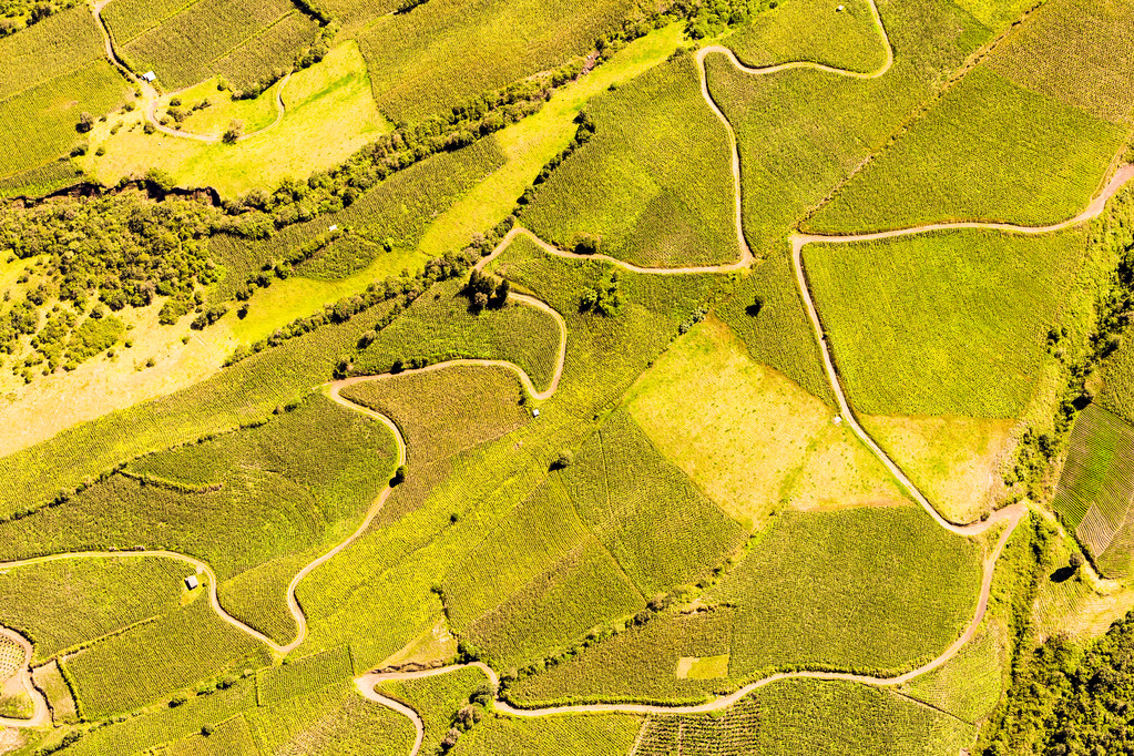 エクアドル農地空中ショット - 写真・画像