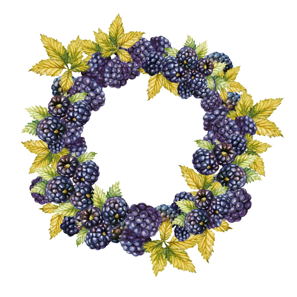 wreath with BlackBerries - Photo, Image