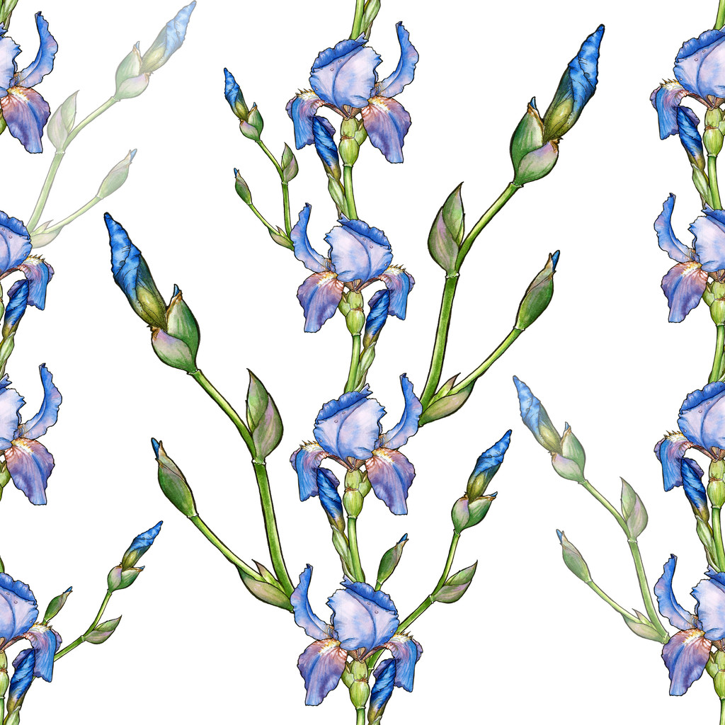 pattern with iris - Photo, Image