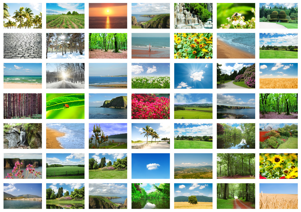 Collage van vele natuurfoto 's - Foto, afbeelding