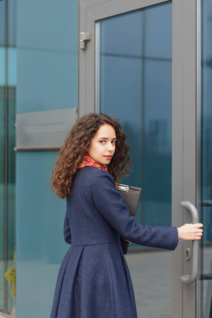 Business woman with a folder in her hand - Photo, Image