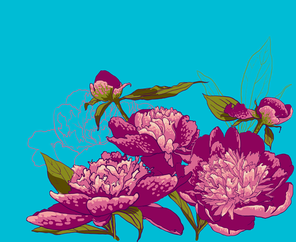 Handgezeichnete Pfingstrosen-Blumen - Vektor, Bild