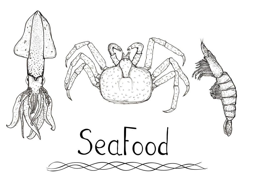 Skizze handgezeichnetes Meeresfrüchte-Set - Tintenfisch, Krabben, Garnelen mit Schriftzug isoliert - Foto, Bild