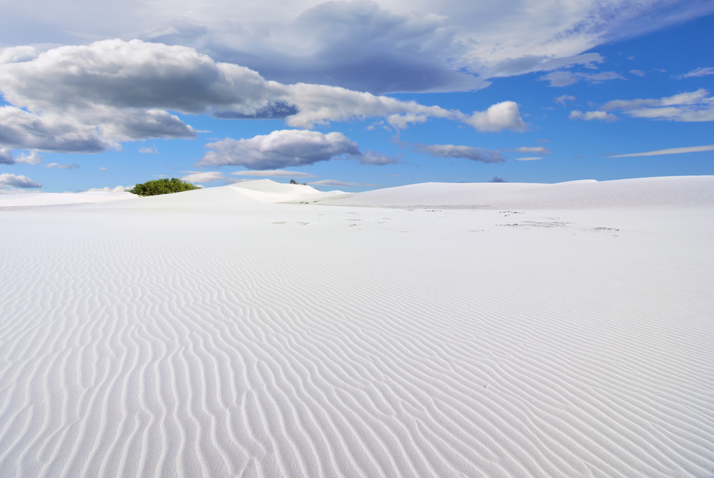  Λευκή αμμόλοφους, Σοκότρα  - Φωτογραφία, εικόνα