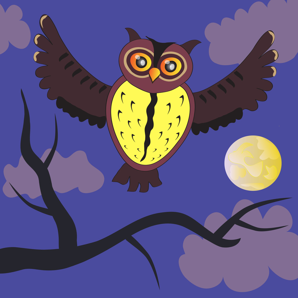 Kreskówka night Owl (wektor wersja) - Wektor, obraz