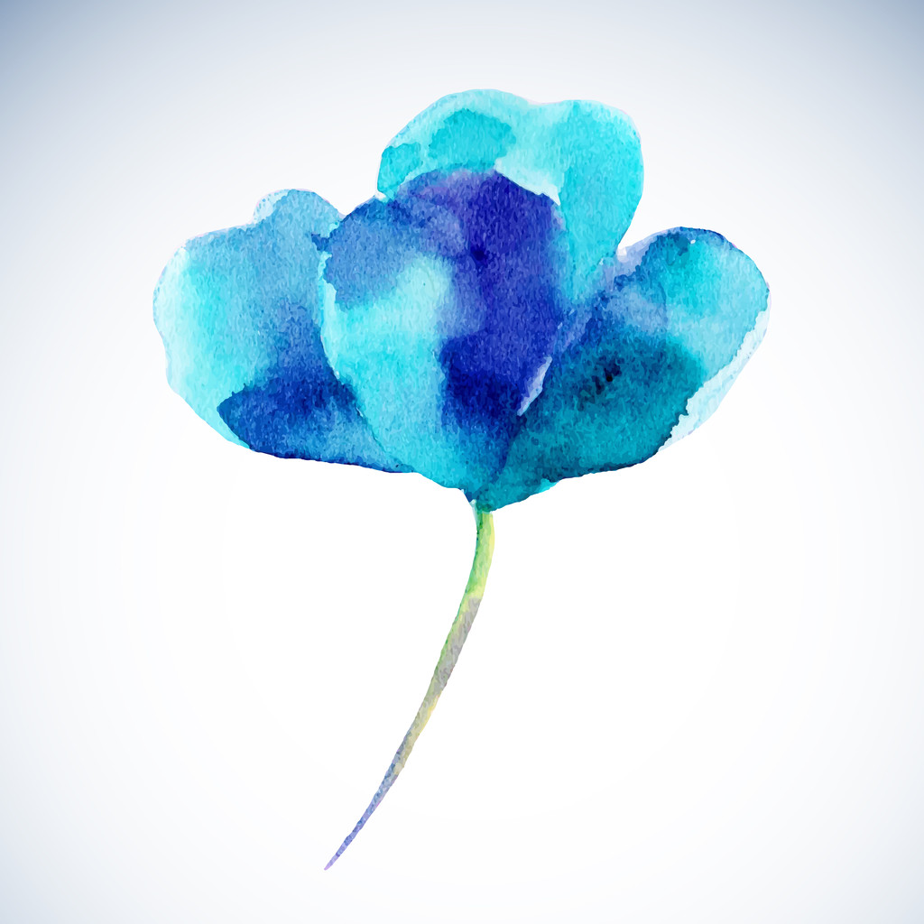 Ακουαρέλα εικονογράφηση του ένα ένα μπλε λουλούδι σε λευκό φόντο. - Διάνυσμα, εικόνα