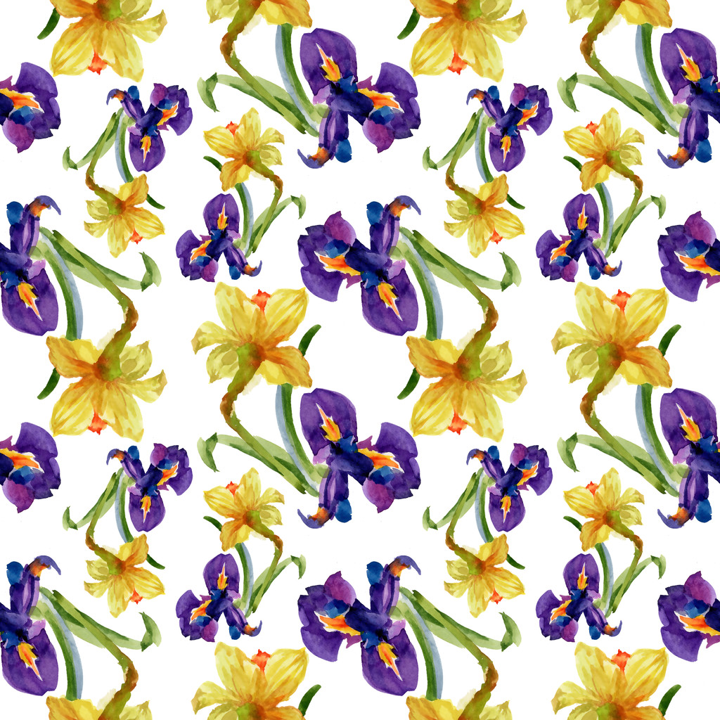 fleurs d'iris et narcisses
 - Photo, image
