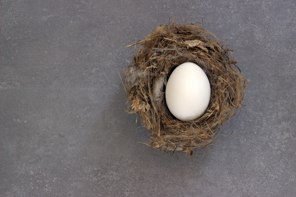 Egg in the nest. background. - Photo, Image