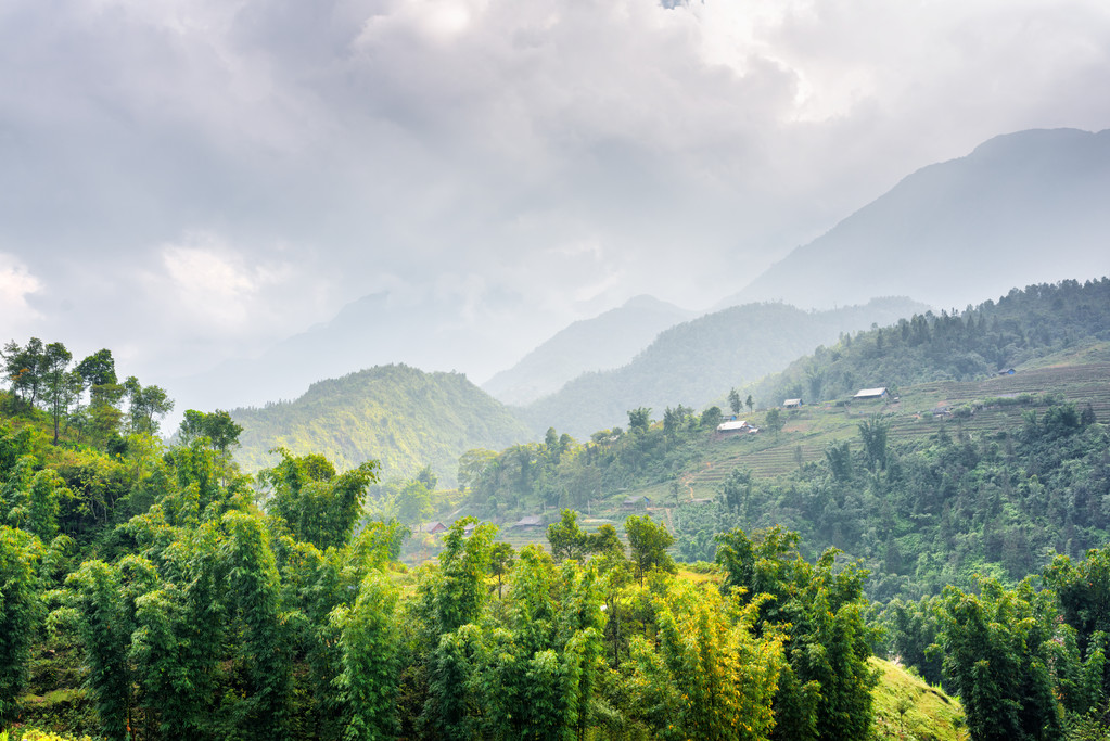 Vista panoramica dei boschi sugli altopiani del distretto di Sapa, Vietnam
 - Foto, immagini