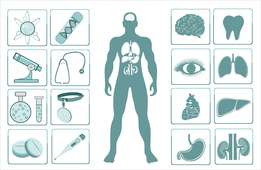 Иконы человеческих органов
 - Вектор,изображение