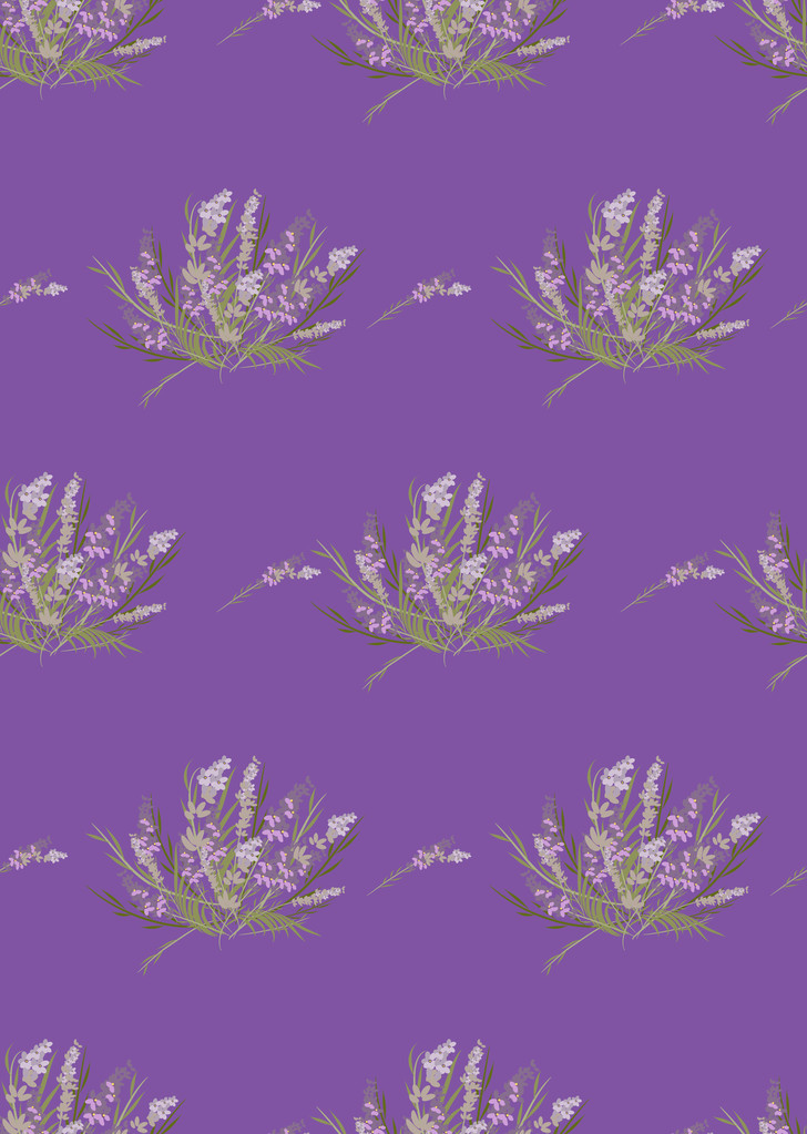 Retro vzor květinové levandule - Vektor, obrázek