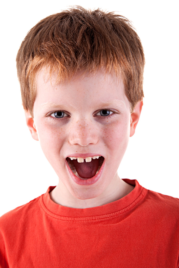 roztomilý chlapec, křičí - Fotografie, Obrázek