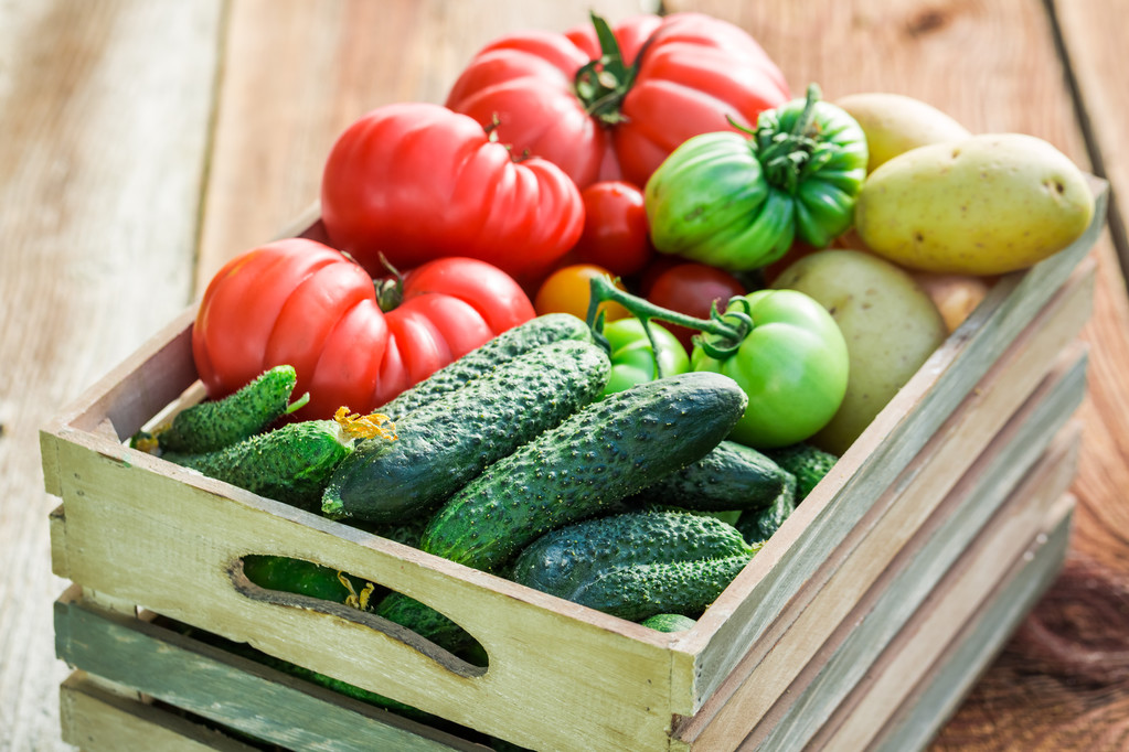 Ripe tomatoes and cucumbers in greenhouse - Photo, Image