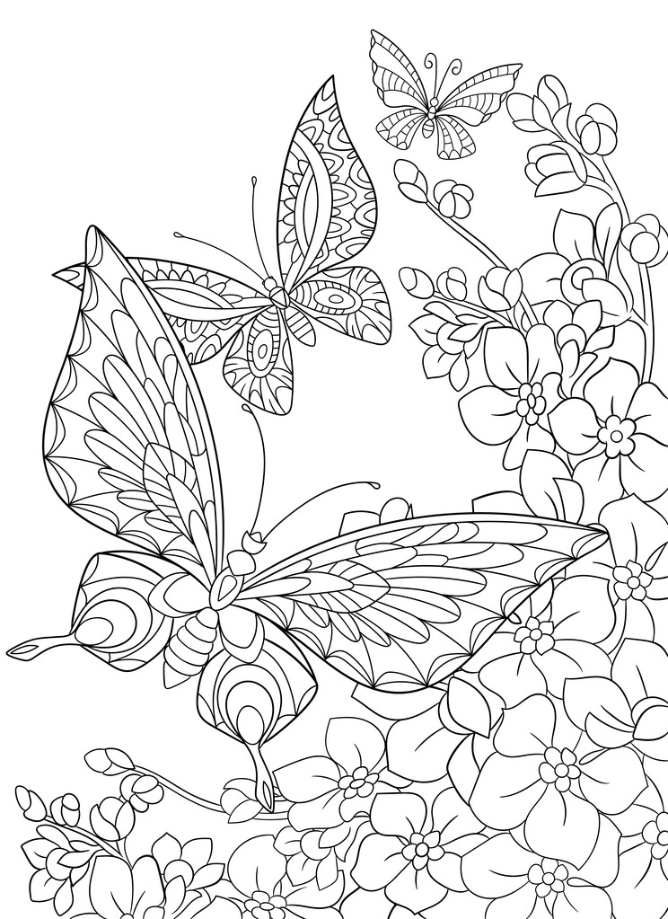 Zentangle stylizované motýlů a sakura květ. - Vektor, obrázek