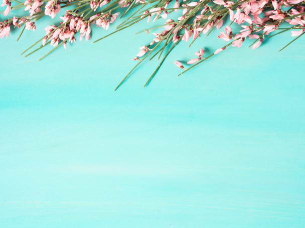 Fond pastel vert avec des fleurs
 - Photo, image