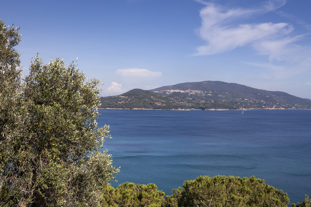 Tengerpart közelében Lacona, sziget Elba, Toszkána, Olaszország - Fotó, kép