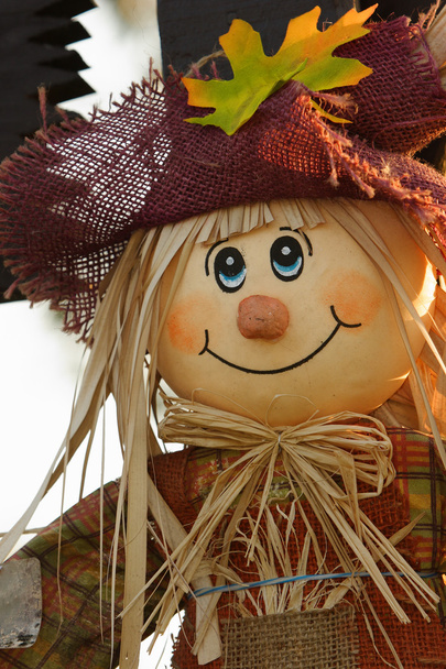 Scarecrow - Foto, afbeelding