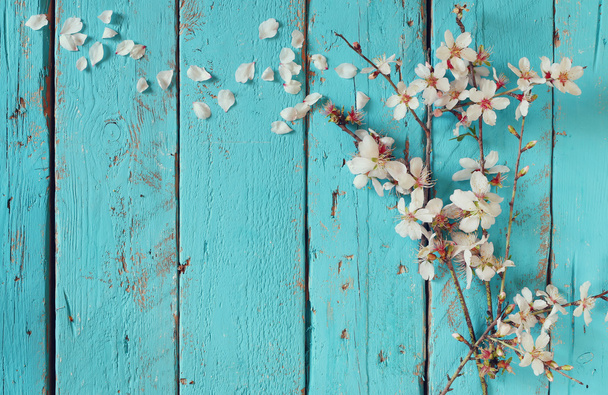 image of spring white cherry blossoms tree on blue wooden table. vintage filtered image - Fotoğraf, Görsel