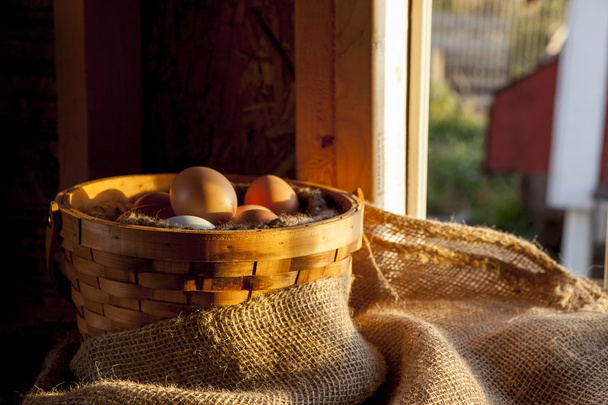 Fresh eggs in a wicker basket - Foto, imagen