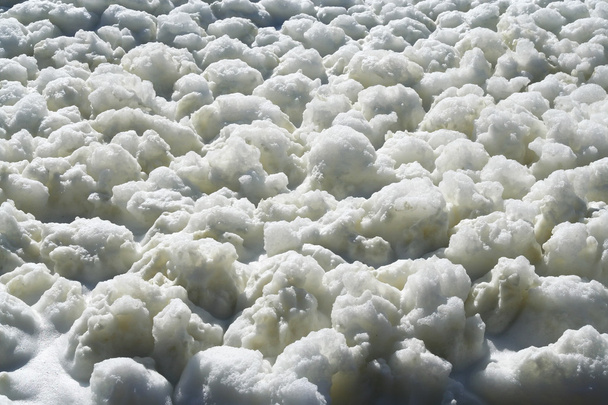 Foam on the lake water - Photo, Image